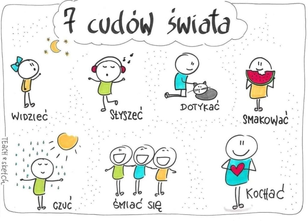7 cudów świata